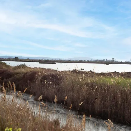 公寓 Les Regates-3 By Interhome 耶尔